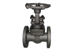 Gate Valve