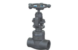 Globe Valve