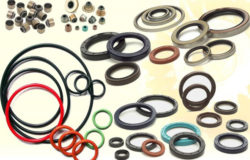 O - Rings & Oil Seals